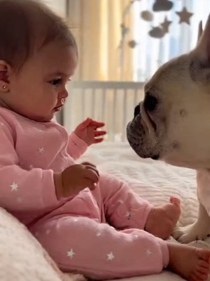 Tiny Baby Meets Big Fluffy Friend #dog#baby#ai