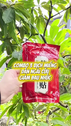 Miếng dán cao ngải cứu được làm từ ngải cứu, gừng , các dược liệu làm ấm, giúp giảm đau hiệu quả an toàn #xuhuong #foryou #miengdanngaicuu 