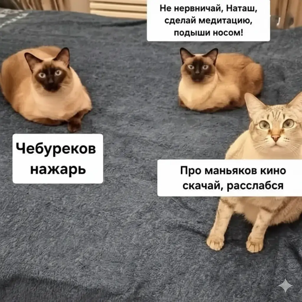 #юмор #умора #смех #жиза #назлобудня #yokkabokka