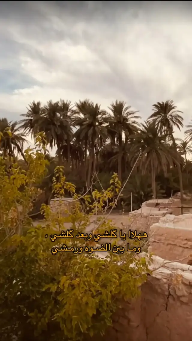 #ستوريات #رسائل #مقالات #ستوريات 