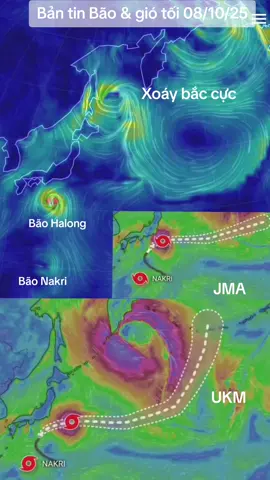 Bản tin Bão & gió tối 08/10/25. Thật thần kỳ ! Bằng một cách vi diệu nào đó, dưới tác động của vòng xoáy cực mạnh gần bắc cực, cả hai cơn bão Halong, Nakri đều bị hút ngược về phía bắc cực, cả hai bẻ lái cực gắt, tiến sát bờ biển Nhật Bản rồi bẻ lái  theo hướng bắc đông bắc. #TikTokAwardsVN #tropical #storm #bão #apthapnhietdoi 