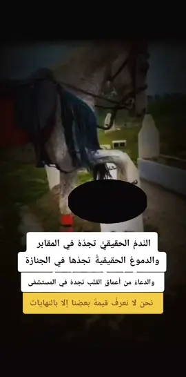 #دمتم_بالخير_والسعاده_اينما_كنتم #تحية_لكل_المتابعين #tiktokindia #اكسبلور #اكسبلور 
