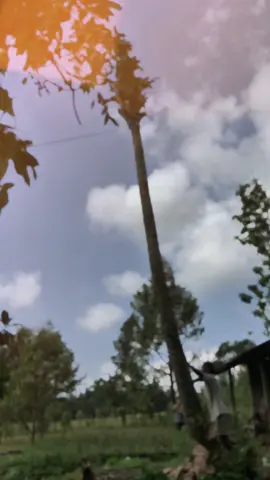 Masih dengan kerja bakti pelebaran jalan#karangtaruna 