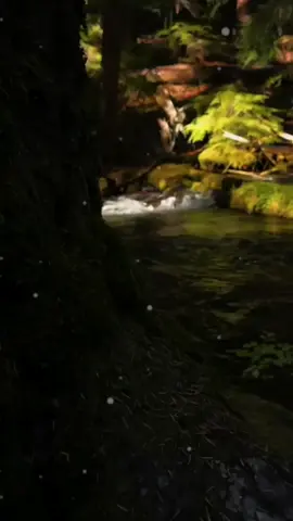 مصغر مصغر وهوا يحارب #شاشة_سوداء_لتصميم🖤🔥🍂 #تصميم_فيديوهات🎶🎤🎬  #moh42 #moh42  #moh42 @Zeddam Omeda 