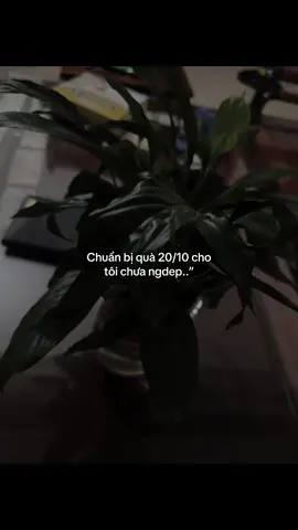 #_nttm_25th09 #dntxuhuong #fbtxuhuong 