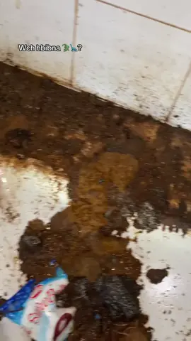 #moulodia_virage_sud🇮🇹🙏 #شعب_الصيني_ماله_حل😂😂 #viral #alg #مدارس_جزائرية 