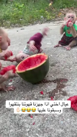 #اكسبلورexplore_o #طقطقه_ضحك 