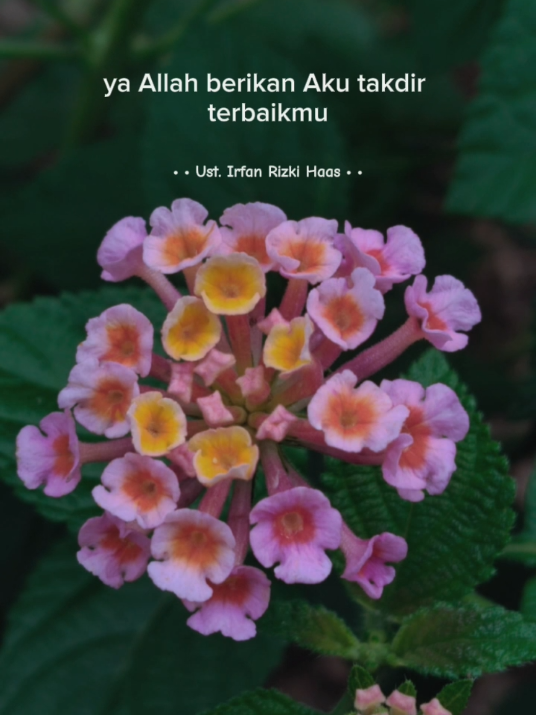 self reminder #selfreminder #masyaallahtabarakkallah #dakwah_islam #nasehatislami 