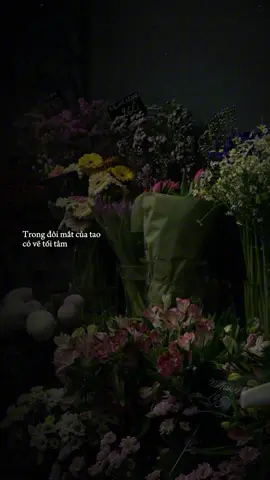 #CapCut vì đã trải qua quá nhiều câu chuyện trong đôi mắt tao có vẻ tối tâm…#tamtrang #nhachaymoingay #nhactamtrang #thuat26th9 
