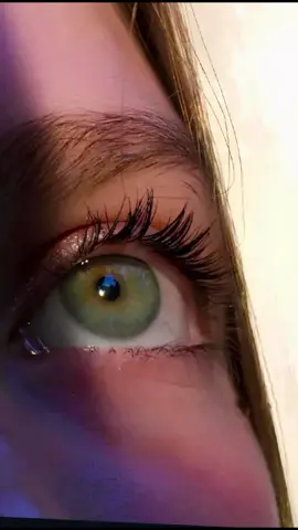 #dla #شارازور #کردستان_عراق😍 #کورد #عیرا 