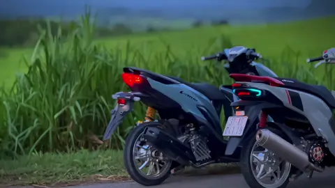 Buổi chiều chill chill cùng@hoang viet #xh #vario #vario125 #vision #dokieng 