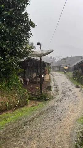 setiap hembusan nafas terasa lebih segar ketika hujan lebat mengguyur kampung 🌧️#fyp #xybca #kampunghalaman #suasanapedesaan #tinggaldikampung 