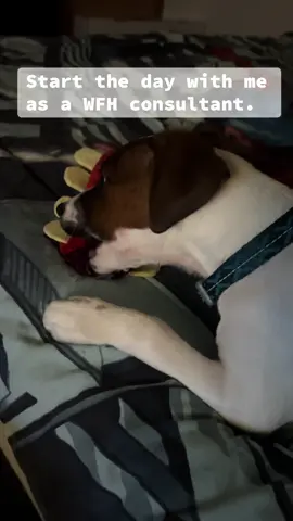 Stay till the end for the key board clicks ❤️ #wfh #remote #workfromhome #keyboard #asmr  