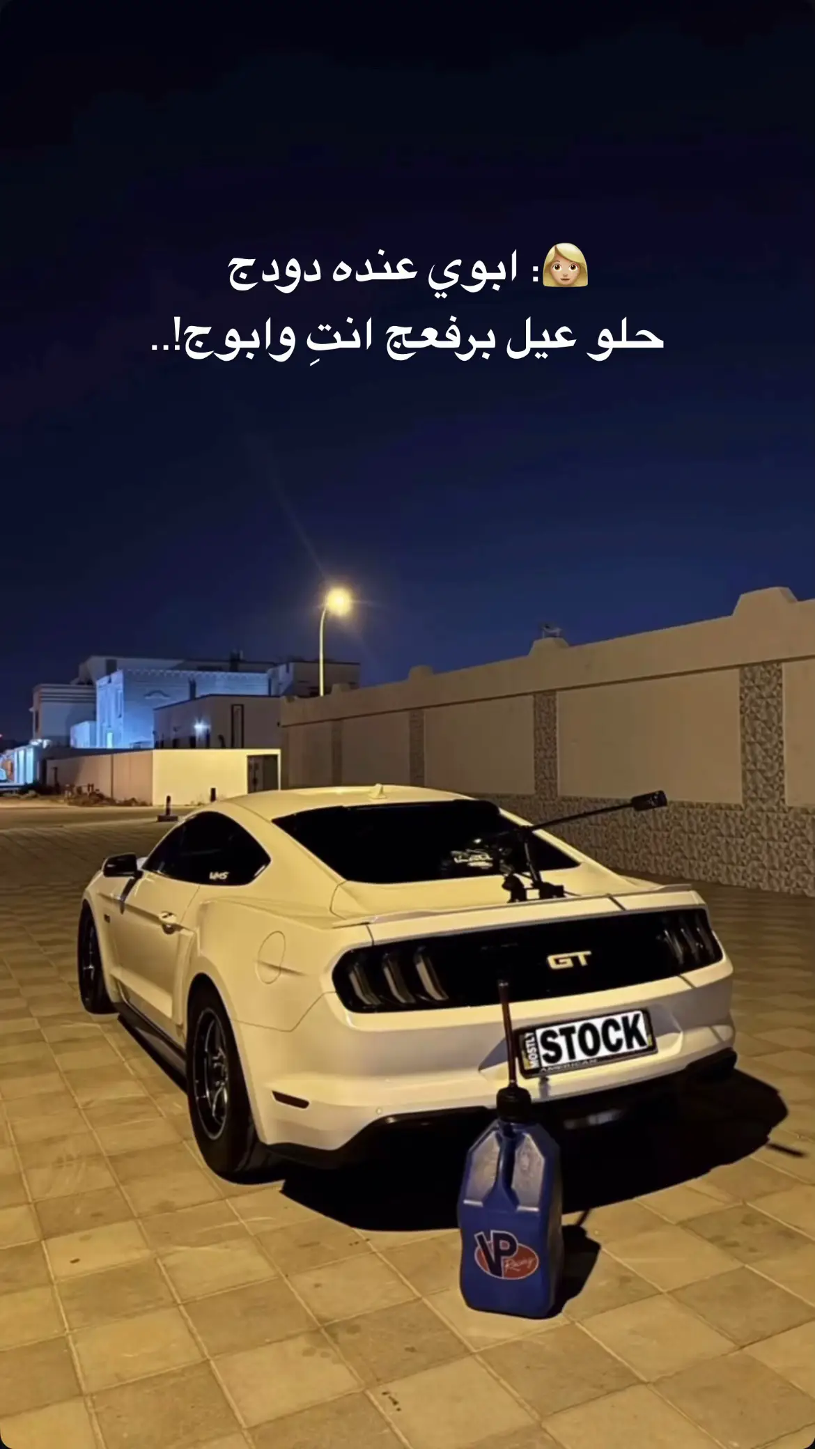 #explore #الشعب_الصيني_ماله_حل😂😂 #fyp #معاكم_بالترند #mustang 