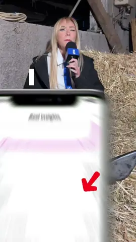 🔥 170.000 FOLLOWERS IN 24 ORE. All’inizio, Dea in cucina contava appena 8.000 follower tra Instagram e TikTok. Il problema? Un pubblico interessato più alla persona che al servizio. Abbiamo deciso di chiudere il profilo principale e ripartire da zero. Profilo nuovo. Lingua inglese. Posizionamento chiaro. E soprattutto: un messaggio autentico e un pubblico giusto. 🎯 Primo risultato? 10.000 follower in 24 ore. Zero euro spesi in ads. Conversazioni vere nei commenti: chi chiede ricette, chi si riconosce, chi discute sulla pasta fatta in casa. 🍝 📈 In una settimana: ➡️ 170.000 follower ➡️ Centinaia di richieste per la sua cooking class ➡️ Engagement alle stelle La lezione è semplice: la viralità non è fortuna — è metodo. E quando conosci il metodo, puoi rifarla. 🔁