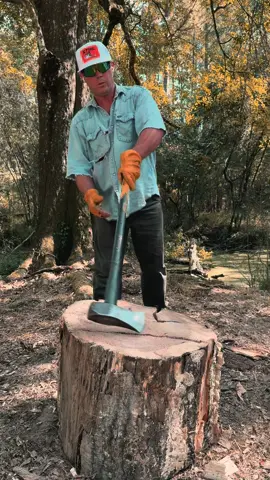 Big Water Oak 36” #firewood #oak #fyp #stihl 