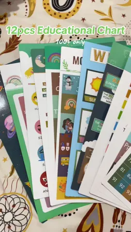 12PCS Laminated Educational Charts for kidss very cutesyy ng designs🥰 #educational #fypage #fyp 