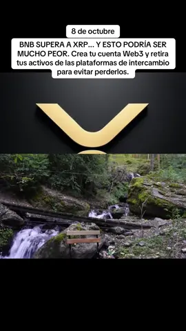 #xrp #xrpenespañol #xrpnoticiasenespañol #xrpcrypto #xrpcommunity 