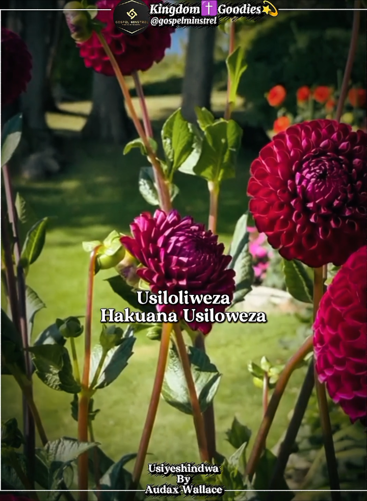 Usiyeshindwa By Audax Wallace #africa #godisgood #kingdom✝️goodies💫 #Gospelmusic #gospelvideos 