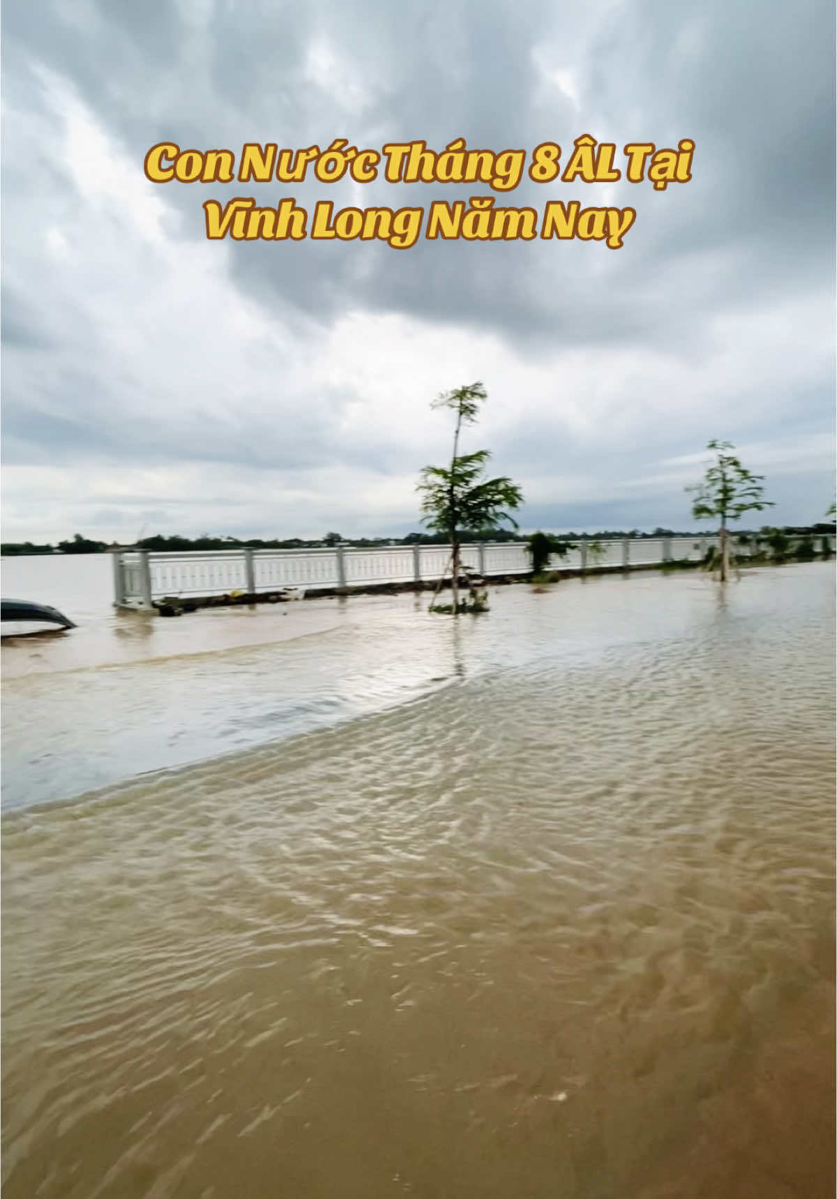 Con Nước Tháng 8 Âl Năm Nay Tại Vĩnh Long#64_vinhlong #nuocngap #xuhuong 
