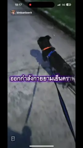 #เทรนด์วันนี้ พาเสี่ยออกกำลังกายยามเย็นคราฟ 🐕✌️🐕พรุ่งนี้เดินทาง ไปอุตรดิตถ์กับพ่อคราฟผม😁🩷#พ่อบิณฑ์และเปลี่ยนนาย #ต้าวเปลี่ยนนายรันนิ่งนักวิ่งสี่ขา♥️♥️♥️ #บิณฑ์บรรลือฤทธิ์ 