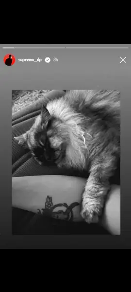 Ano ba talaga Dj?? Aasa paba kami o uusad na! pagod na kami mag antay e 😂 #danielpadilla #kathrynbernardo #kathnielforever #kathnielfan #kathnielbreakup #kathniel #pov #fyp 