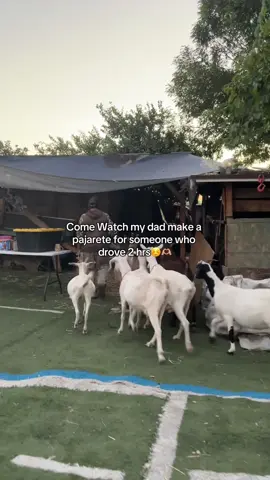 Welcome to CasaRamirez 🥰 We are building something anybody can be apart of and feel comfortable being themselves ☺️ We aren’t perfect but we can all be a little nicer and spread positivity, doesn’t cost a dime 🤍