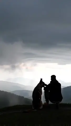 النظرة الاخيرة 💔😔 #اكسبلور #فولو #حزن#pov 