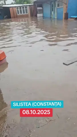 #silistea #WhatsApp #constanta #furtuna #romania 