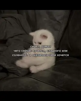 #щп #щитпост 