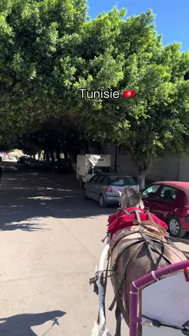 #tunis #tunisia🇹🇳 #monastir #vacance#منستير 