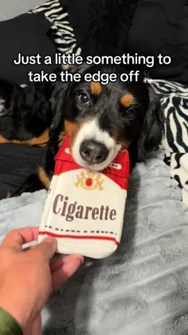 She loves smoking! #dogs #dogtoys #petgifts #funnydog 
