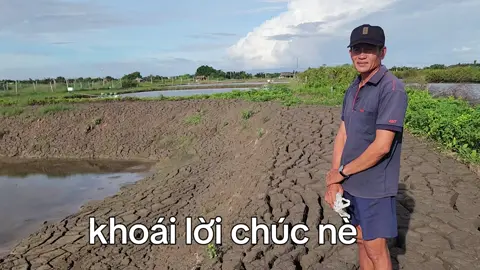 hop lí wa nè 