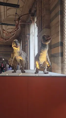 Rawrrrrrr #Dinosaur #rawr  #fyp 