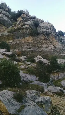 #mulana #bijligar #71  #mulana #bijligar   71