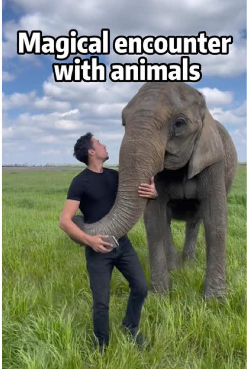 A Magical Encounter with a Wild Friend #AnimalEncounter #WildlifeMoment #NatureVibes #UnexpectedFriend #AnimalLover #WildlifeExperience #NatureConnection #HeartwarmingMoment #CuteAnimals 