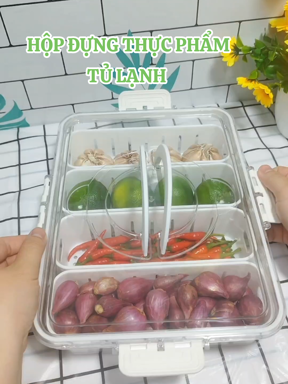 Hộp Đựng Thực Phẩm Tủ Lạnh Cí Lỗ Thoát Nước Tiện Lợi #hopthucphamtulanh #hopthucpham 