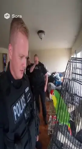 Talking parrot roasts police #funnyparrot #talkingparrot #funnypolice #ai 