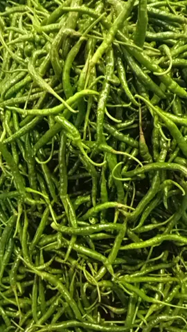 cabe kriting ijo full mening  #fyp  #sayurfresh 