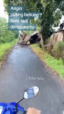 Info Terkini