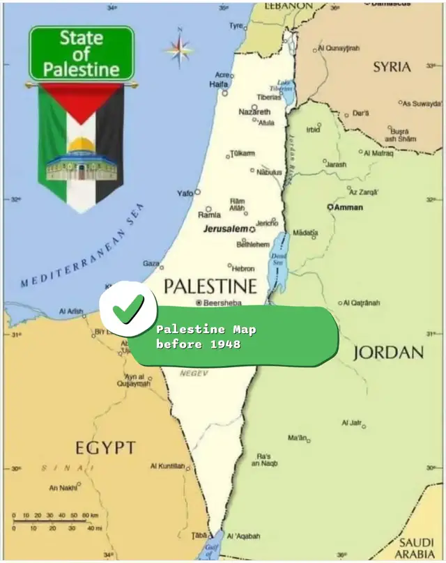 #FreePalestine #SavePalestine #SaveGaza #JerusalemCapitalofPalestine🇵🇸 