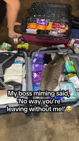 my boss miming my shaylaaaaa😭😭 Im gonna miss youuuu boss #cattok #myshayla #cute #viral #fyp 