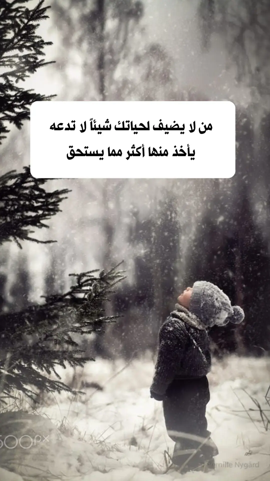 #خواطر #خواطر_للعقول_الراقية #اقتباسات_عبارات_خواطر #كلام_من_ذهب #zakidit @zaki 