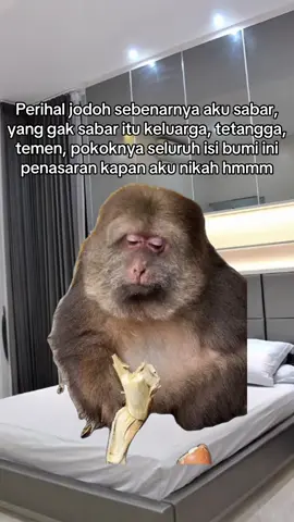 Hidup seaman ini malah mendengar pertanyaan  yang kita sendiri juga nggak tau jawabannya  #fyp #MemeCut #Meme #memestiktok #CapCut 