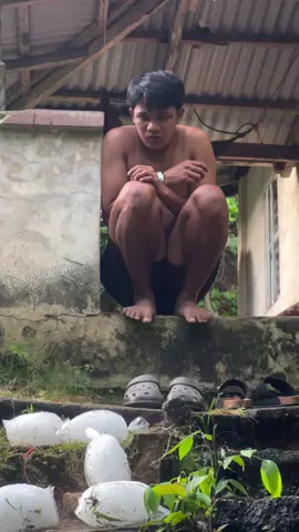 ingat lage baka matamaan kayo ng ulan baka magka bukol kayo😂😂😂