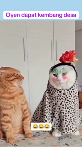 Oyen bahagia.                #fyppppppppppppppppppppppp  #fy #viraltiktok #fypシ゚ #kucinglucu 