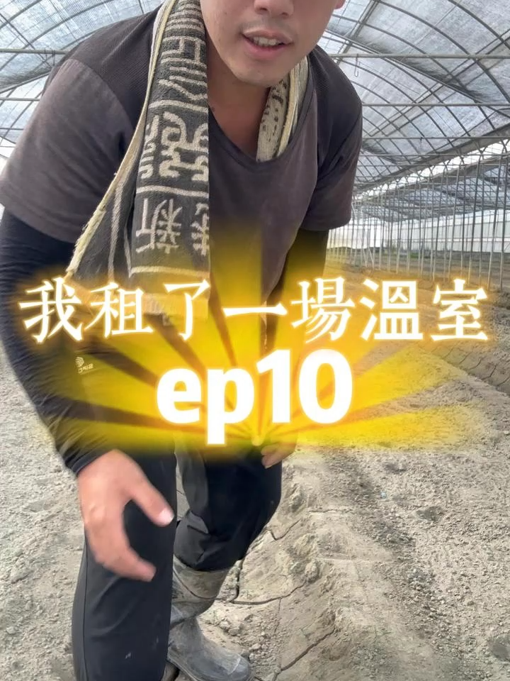 今天來幫準備種植區域蓋上地膜，是不是越來越有田區的樣子啦XD #我租了一場溫室 #溫室栽培