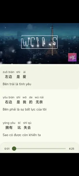 Bài hát: #相思成灾 #鄭亦辰 #nhachoaloiviet #nhactiengtrung #hoctiengtrung 