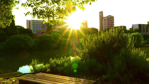 朝日が眩しい#japan 