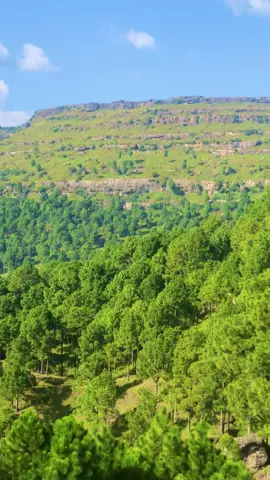 View narar#foryoupage #foryoupageofficiall #vairalvideo #foryouuuuuuuuuuuuu #vairalvideo 